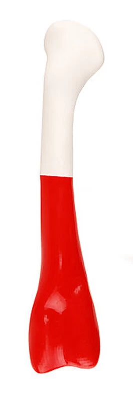 Anka - Jouet Os En TPR Bicolore L Pour Chien - 32cm 1 Anka - Jouet Os En TPR Bicolore L Pour Chien - 32cm