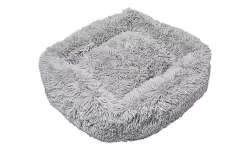 Fournitures Pour Chiens -Fournitures Pour Chiens 68559