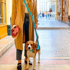 Pop Dog - Collier Dragueur Bleu Pour Chien - L -Fournitures Pour Chiens 68963