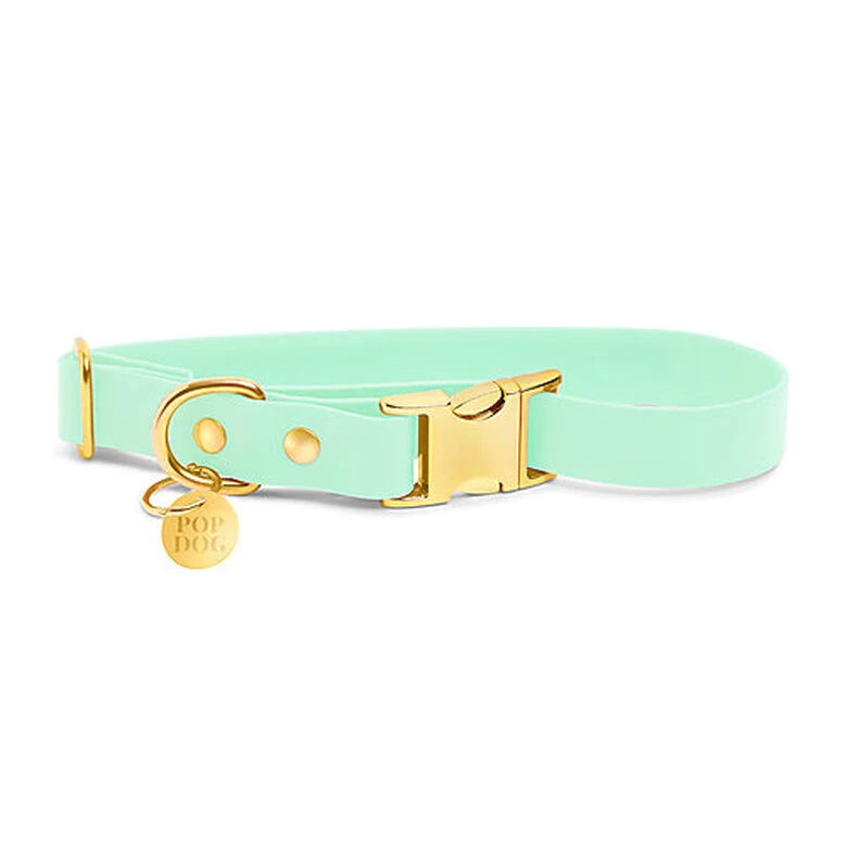 Pop Dog - Collier Swimmy Vert Pour Chien - M 1 Pop Dog - Collier Swimmy Vert Pour Chien - M