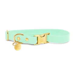 Pop Dog - Collier Swimmy Vert Pour Chien - S