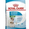 Royal Canin - Croquettes Mini Starter Mother & Babydog Pour Chiot - 4Kg