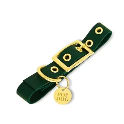 Pop Dog - Collier à Œillet Elégant Vert Pour Chien - M