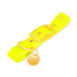 Pop Dog - Collier à Œillet Joyeux Jaune Pour Chien - L