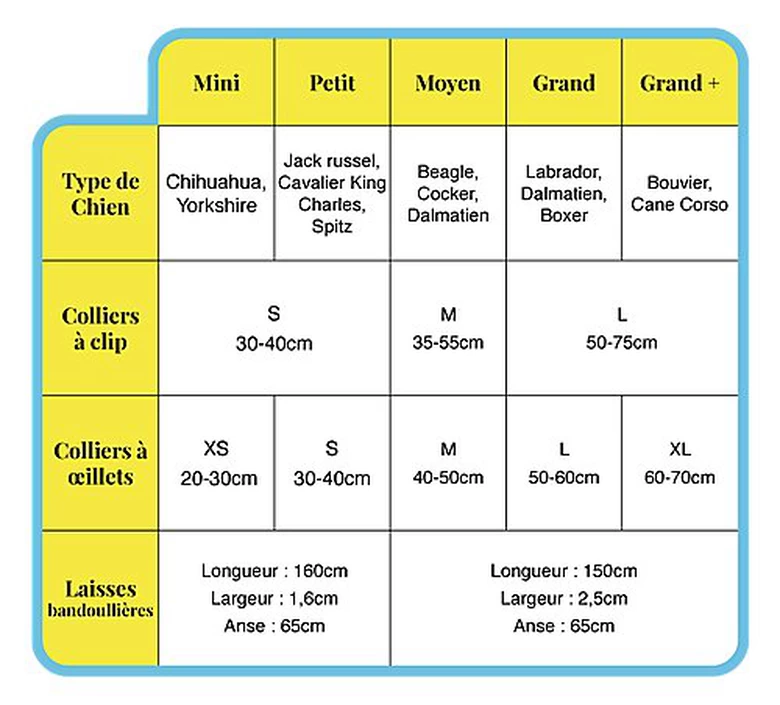 Pop Dog - Collier à Œillet Swimmy Vert Pour Chien - XS 3 Pop Dog - Collier à Œillet Swimmy Vert Pour Chien - XS – Image 3