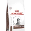 Royal Canin - Croquettes Veterinary Puppy Gastro Intestinal Pour Chiot - 2,5Kg