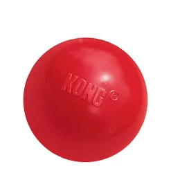 Kong - Jouet Balle Rebondissante Rouge Pour Chien - L