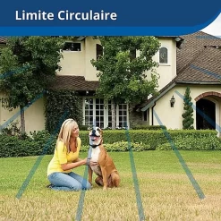 PetSafe - Kit Clôture Wireless Pour Chiens -Fournitures Pour Chiens 74226