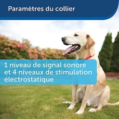 PetSafe - Kit Clôture Wireless Pour Chiens -Fournitures Pour Chiens 74227