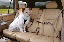 Kurgo - Tyrolienne De Sécurité ZIP LINE Pour Chiens -Fournitures Pour Chiens 74247