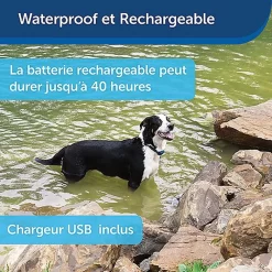 PetSafe - Système D'Aide à L'Education Pour Chiens - 100m -Fournitures Pour Chiens 74259
