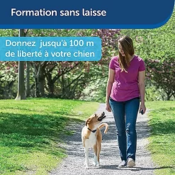 PetSafe - Système D'Aide à L'Education Pour Chiens - 100m -Fournitures Pour Chiens 74261