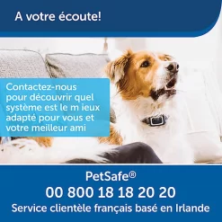 PetSafe - Système D'Aide à L'Education Pour Chiens - 100m -Fournitures Pour Chiens 74270