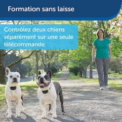 PetSafe - Système D'Aide à L'Education Pour Chiens - 300m -Fournitures Pour Chiens 74277