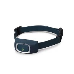 PetSafe - Système D'Aide à L'Education Pour Chiens - 600m -Fournitures Pour Chiens 74286