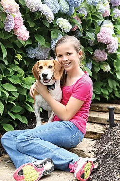 PetSafe - Clôture Anti-Fugue PIG19-16413 Pour Chien -Fournitures Pour Chiens 74309