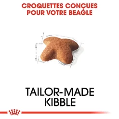 Royal Canin - Croquettes Beagle Adult Pour Chien - 12Kg -Fournitures Pour Chiens 74323