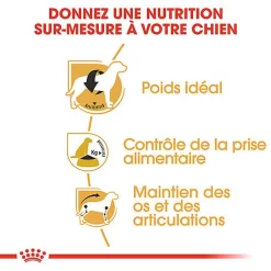 Royal Canin - Croquettes Beagle Adult Pour Chien - 12Kg -Fournitures Pour Chiens 74325