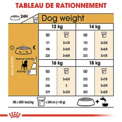 Royal Canin - Croquettes Beagle Adult Pour Chien - 12Kg -Fournitures Pour Chiens 74326