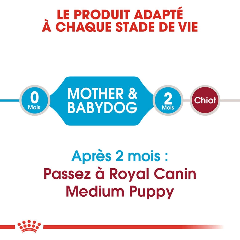Royal Canin - Croquettes Starter Mother & Babydog Medium Pour Chiennes Et Chiots - 4KG 2 Royal Canin - Croquettes Starter Mother & Babydog Medium Pour Chiennes Et Chiots - 4KG – Image 2