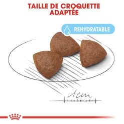 Royal Canin - Croquettes Starter Mother & Babydog Medium Pour Chiennes Et Chiots - 4KG 9 Royal Canin - Croquettes Starter Mother & Babydog Medium Pour Chiennes Et Chiots - 4KG -Fournitures Pour Chiens 74402
