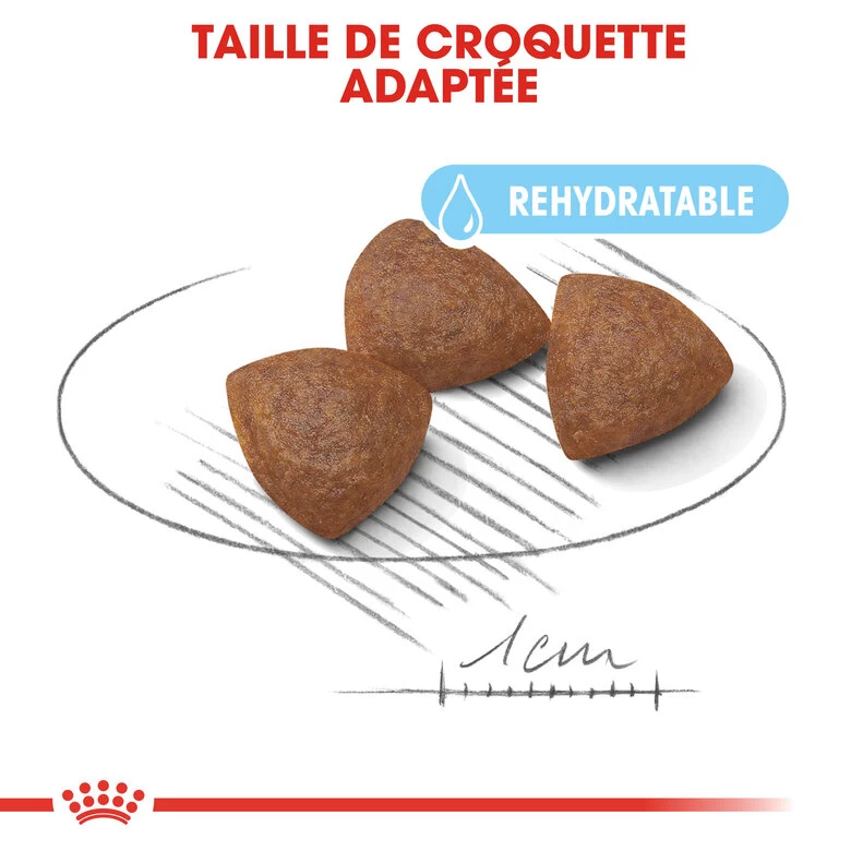 Royal Canin - Croquettes Starter Mother & Babydog Medium Pour Chiennes Et Chiots - 4KG 4 Royal Canin - Croquettes Starter Mother & Babydog Medium Pour Chiennes Et Chiots - 4KG – Image 4