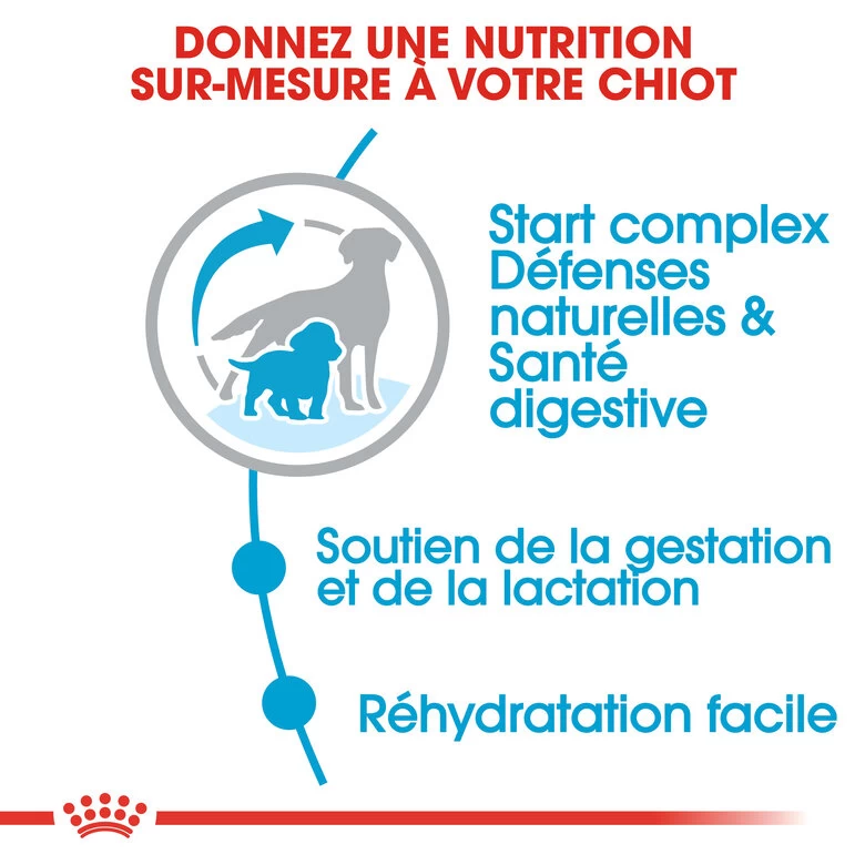 Royal Canin - Croquettes Starter Mother & Babydog Medium Pour Chiennes Et Chiots - 4KG 3 Royal Canin - Croquettes Starter Mother & Babydog Medium Pour Chiennes Et Chiots - 4KG – Image 3