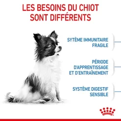 Royal Canin - Croquettes Puppy X-Small Pour Chiots - 3Kg -Fournitures Pour Chiens 74425