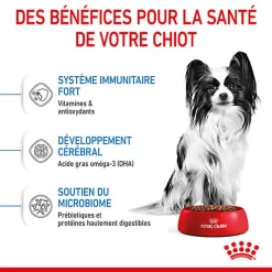 Royal Canin - Croquettes Puppy X-Small Pour Chiots - 3Kg -Fournitures Pour Chiens 74427