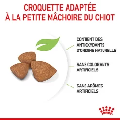 Royal Canin - Croquettes Puppy X-Small Pour Chiots - 3Kg -Fournitures Pour Chiens 74428