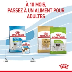 Royal Canin - Croquettes Puppy X-Small Pour Chiots - 3Kg -Fournitures Pour Chiens 74429