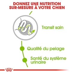 Royal Canin - Croquettes X-Small Adult Pour Petits Chiens - 1,5Kg -Fournitures Pour Chiens 74432