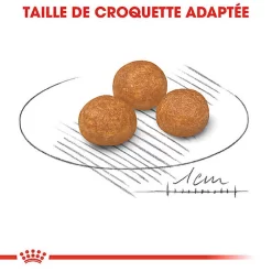 Royal Canin - Croquettes X-Small Adult Pour Petits Chiens - 1,5Kg -Fournitures Pour Chiens 74433