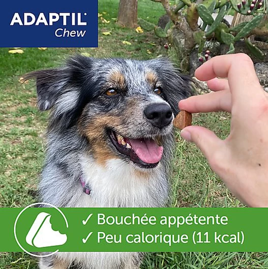Adaptil - Bouchées Moelleuses D'Appaisement Adaptil Chew Pour Chiens - X30 5 Adaptil - Bouchées Moelleuses D'Appaisement Adaptil Chew Pour Chiens - X30 – Image 5