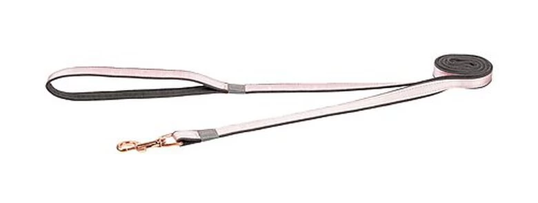 Rogz - Laisse Urban Rose Pour Chiens - M 1 Rogz - Laisse Urban Rose Pour Chiens - M