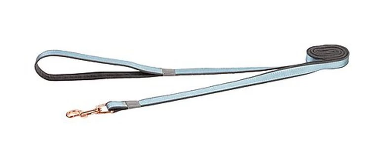 Rogz - Laisse Urban Turquoise Pour Chiens - M 1 Rogz - Laisse Urban Turquoise Pour Chiens - M