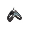Rogz - Harnais Urban Fast-Fit Turquoise Pour Chiens - S