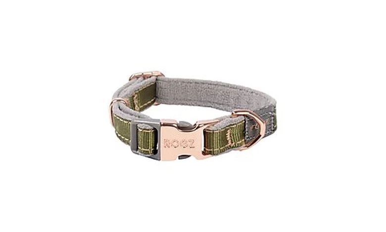 Rogz - Collier Urban Olive Pour Chiens - XS 1 Rogz - Collier Urban Olive Pour Chiens - XS