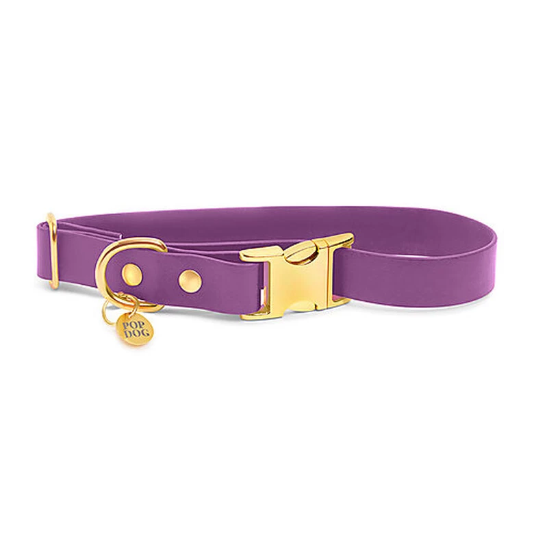 Pop Dog - Collier Précieux Violet Pour Chien - M 1 Pop Dog - Collier Précieux Violet Pour Chien - M