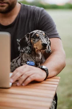 Tickless - Répulsif Antiparasitaire Mini Dog Ultrason Rechargeable Pour Chiens - Bleu 7 Tickless - Répulsif Antiparasitaire Mini Dog Ultrason Rechargeable Pour Chiens - Bleu -Fournitures Pour Chiens 76335