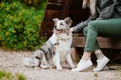 Tickless - Médaillon Ecopet Antiparasitaire Ultrason Pour Chiens Et Chats - 3,8cm 9 Tickless - Médaillon Ecopet Antiparasitaire Ultrason Pour Chiens Et Chats - 3,8cm -Fournitures Pour Chiens 76336