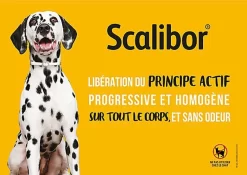 Scalibor - Collier Antiparasitaire Pour Chien -Fournitures Pour Chiens 76363