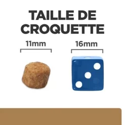 Hill's - Croquettes Prescription Diet J/D Mobility Pour Chiens - 12Kg -Fournitures Pour Chiens 76534