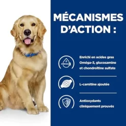 Hill's - Croquettes Prescription Diet J/D Mobility Pour Chiens - 12Kg -Fournitures Pour Chiens 76538